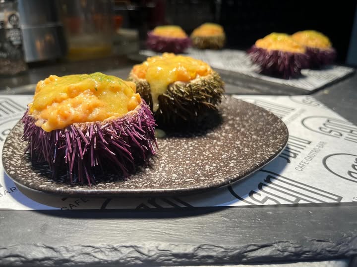 Erizo de mar relleno